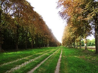 ヴェルサイユ宮殿　Château de Versailles 