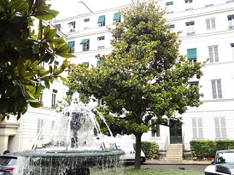 ショパンの家　La maison de Chopin